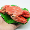 Resin Crab Aquarium Decorations