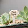 Mini Sign Post Micro Landscaping Decoration